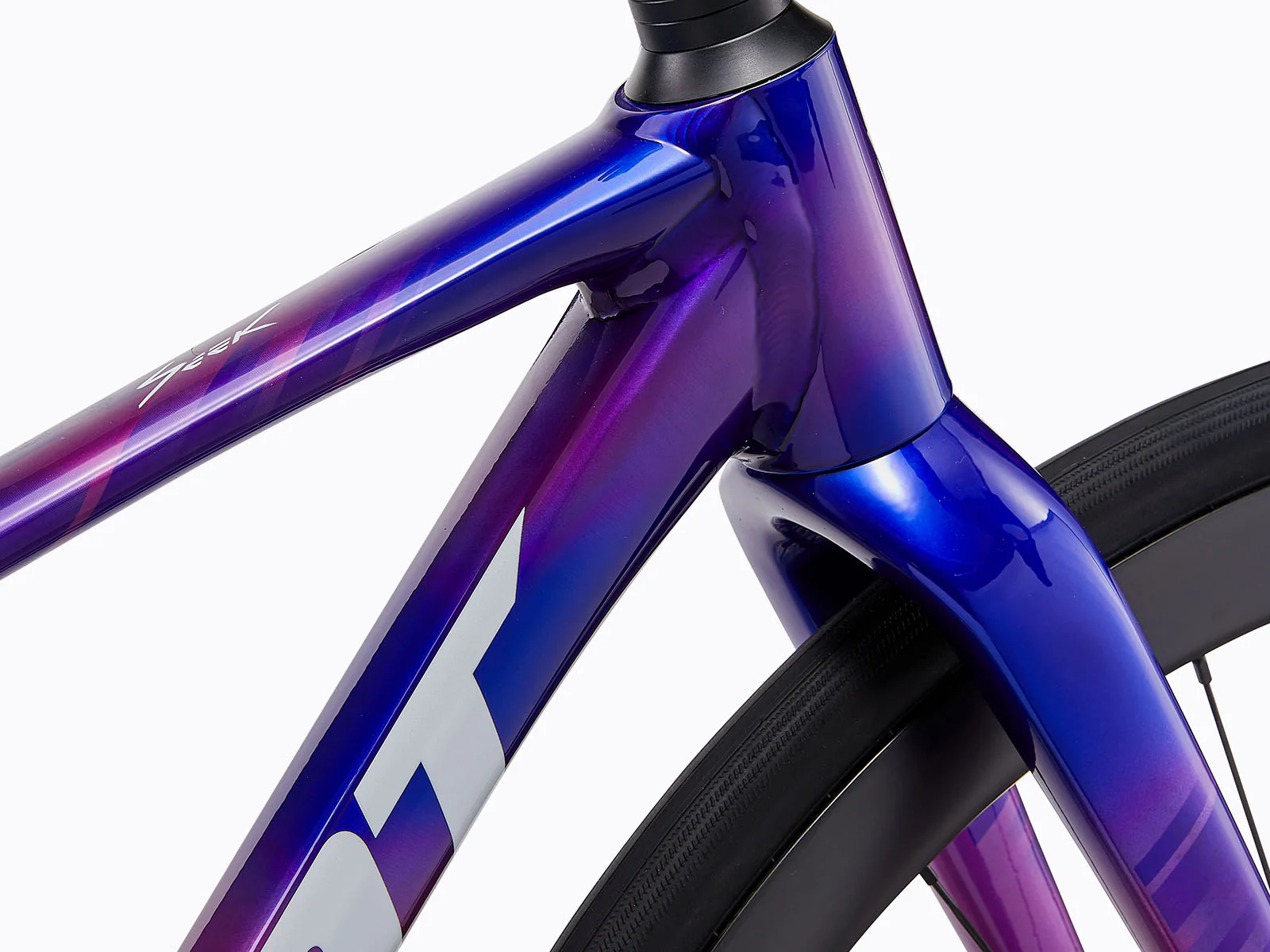 Giant Seek 1 Purple - Image 8